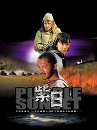 紫日在线观看免费,探寻历史光影下的青春记忆 第1张 紫日在线观看免费,探寻历史光影下的青春记忆 第1张