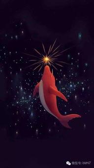 大鱼海棠高清在线观看免费版,探寻海洋深处的奇幻之旅  第3张